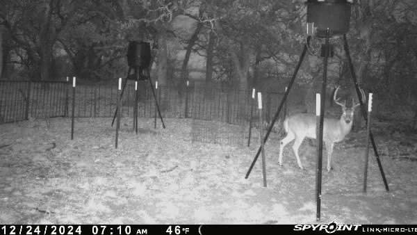 23.75 acres in Jack County - photo 6
