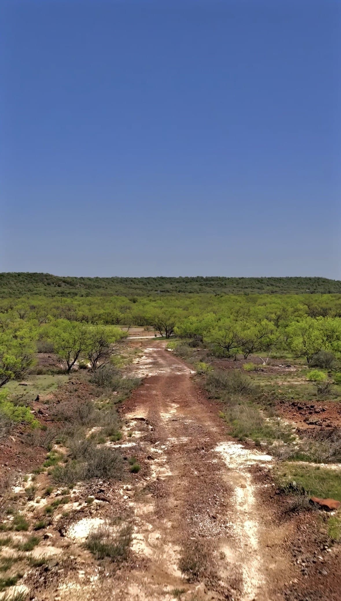 23.75 acres in Jack County - photo 11