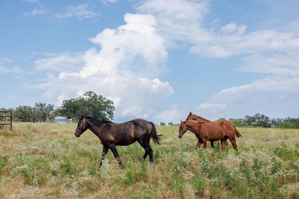 930 acres in Llano County - photo 13