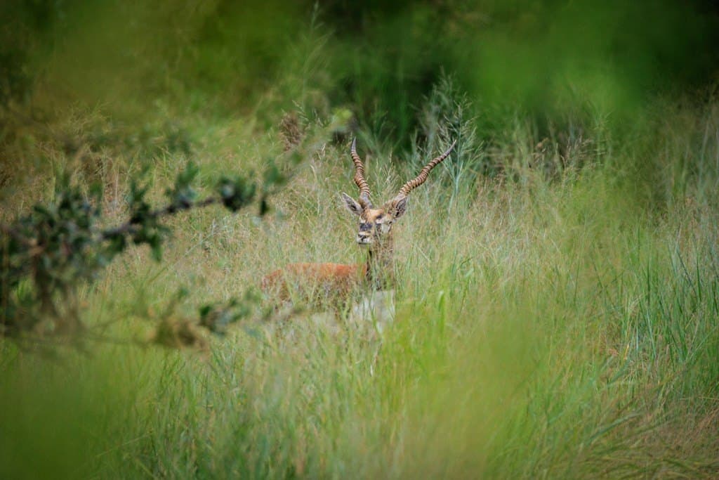 930 acres in Llano County - photo 9