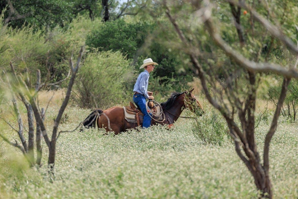 930 acres in Llano County - photo 12