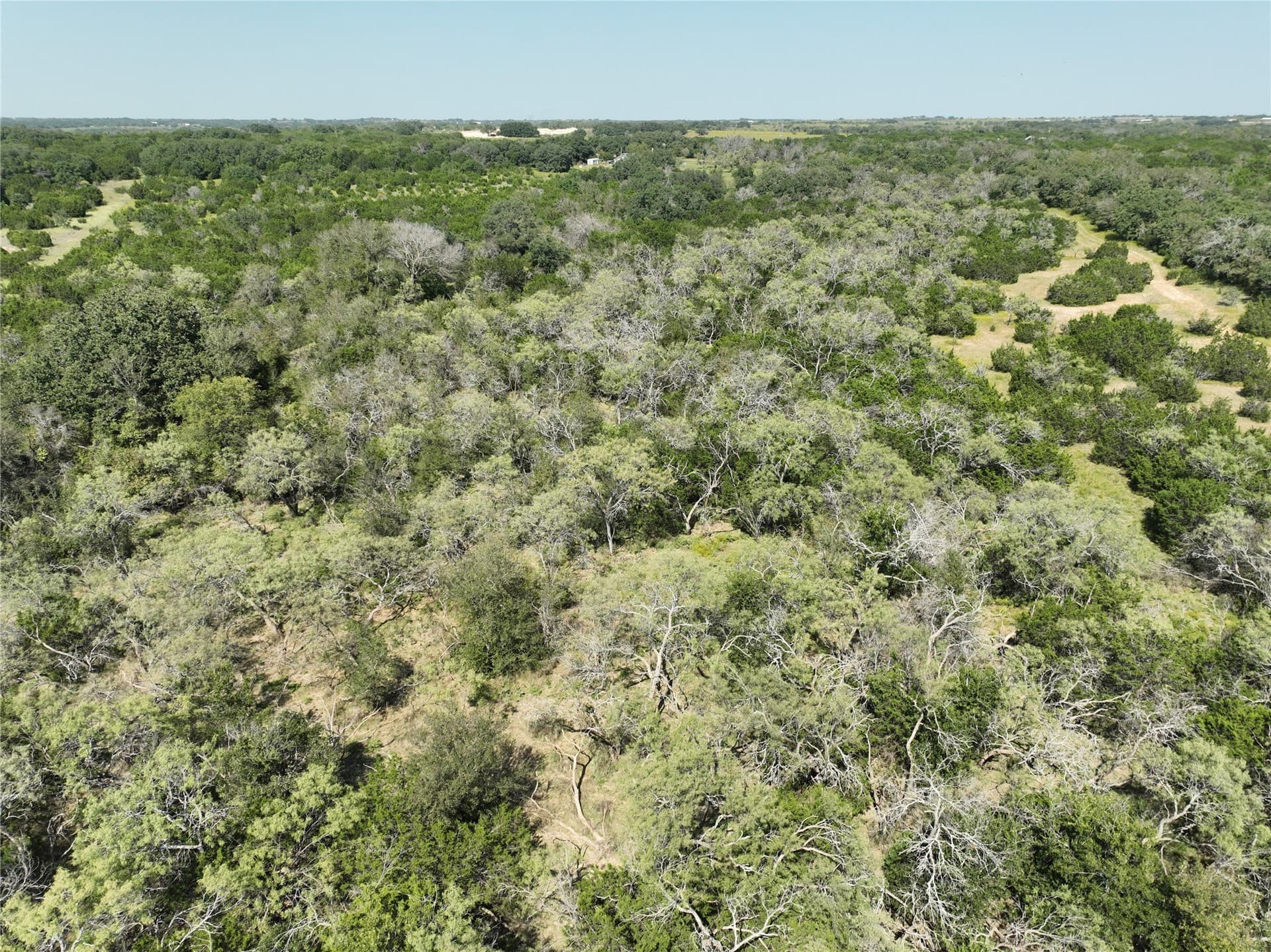 51.67 acres in Hamilton County - photo 39