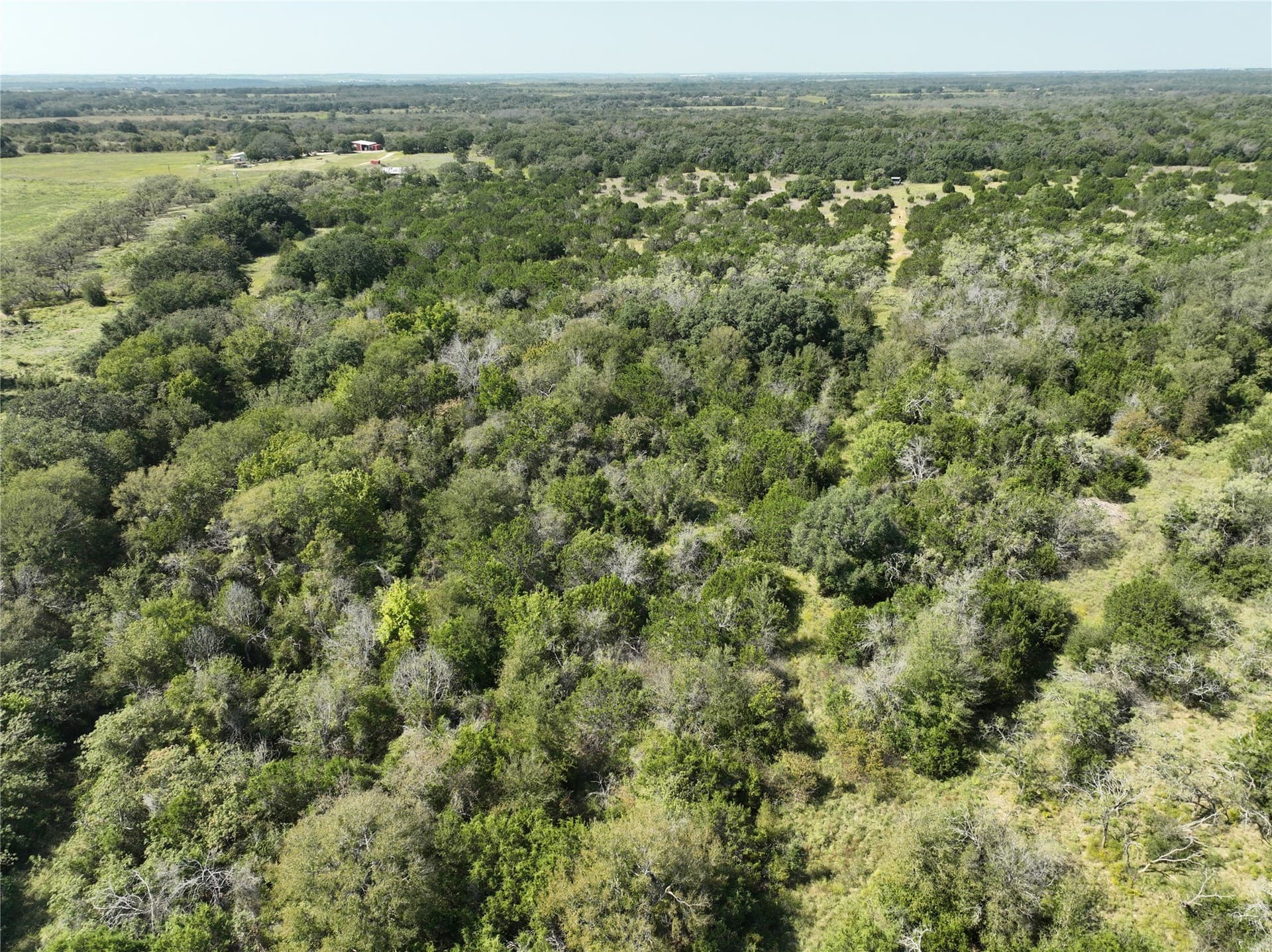51.67 acres in Hamilton County - photo 38