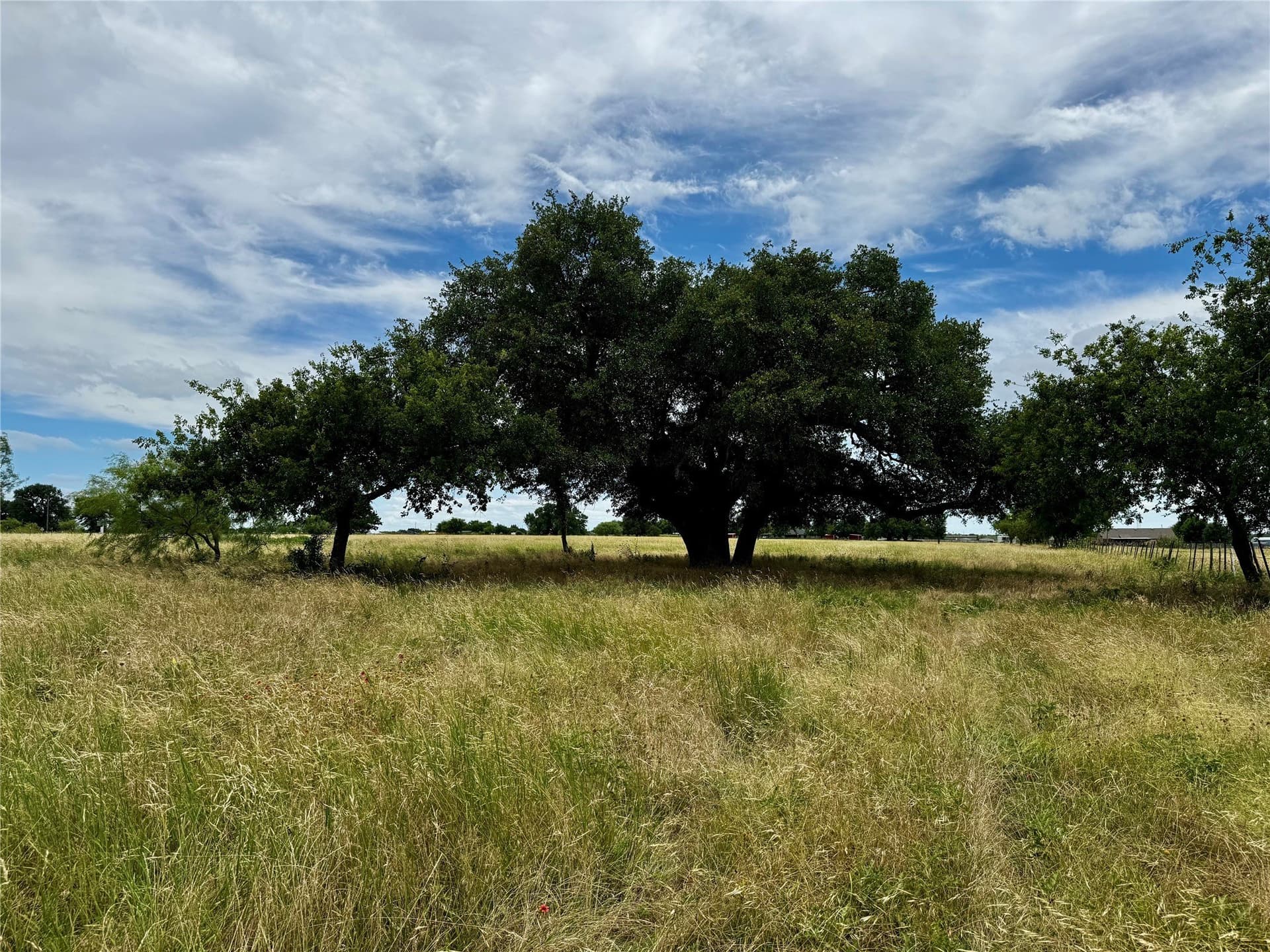 5.51 acres in Palo Pinto County - photo 9