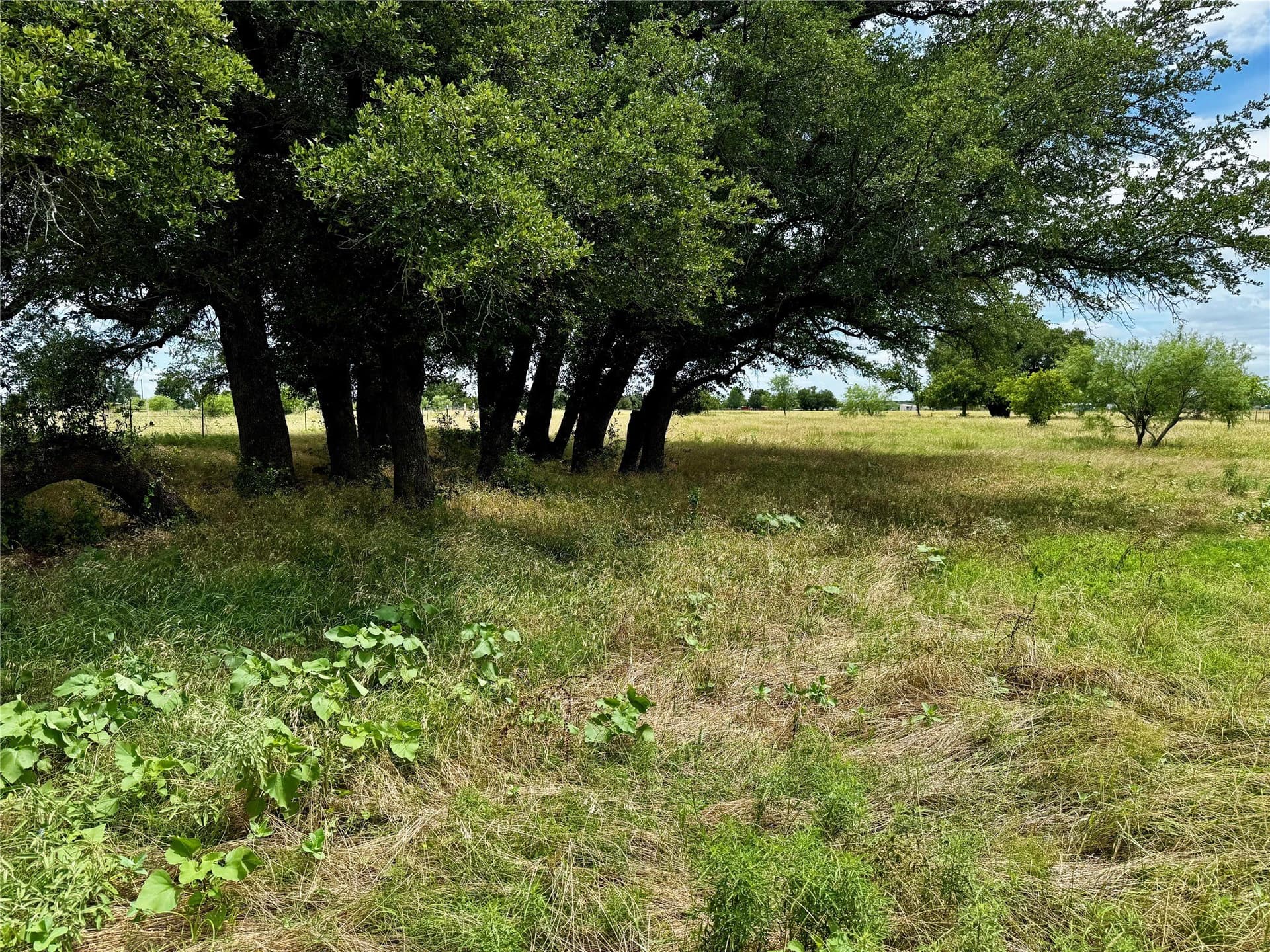 5.51 acres in Palo Pinto County - photo 7