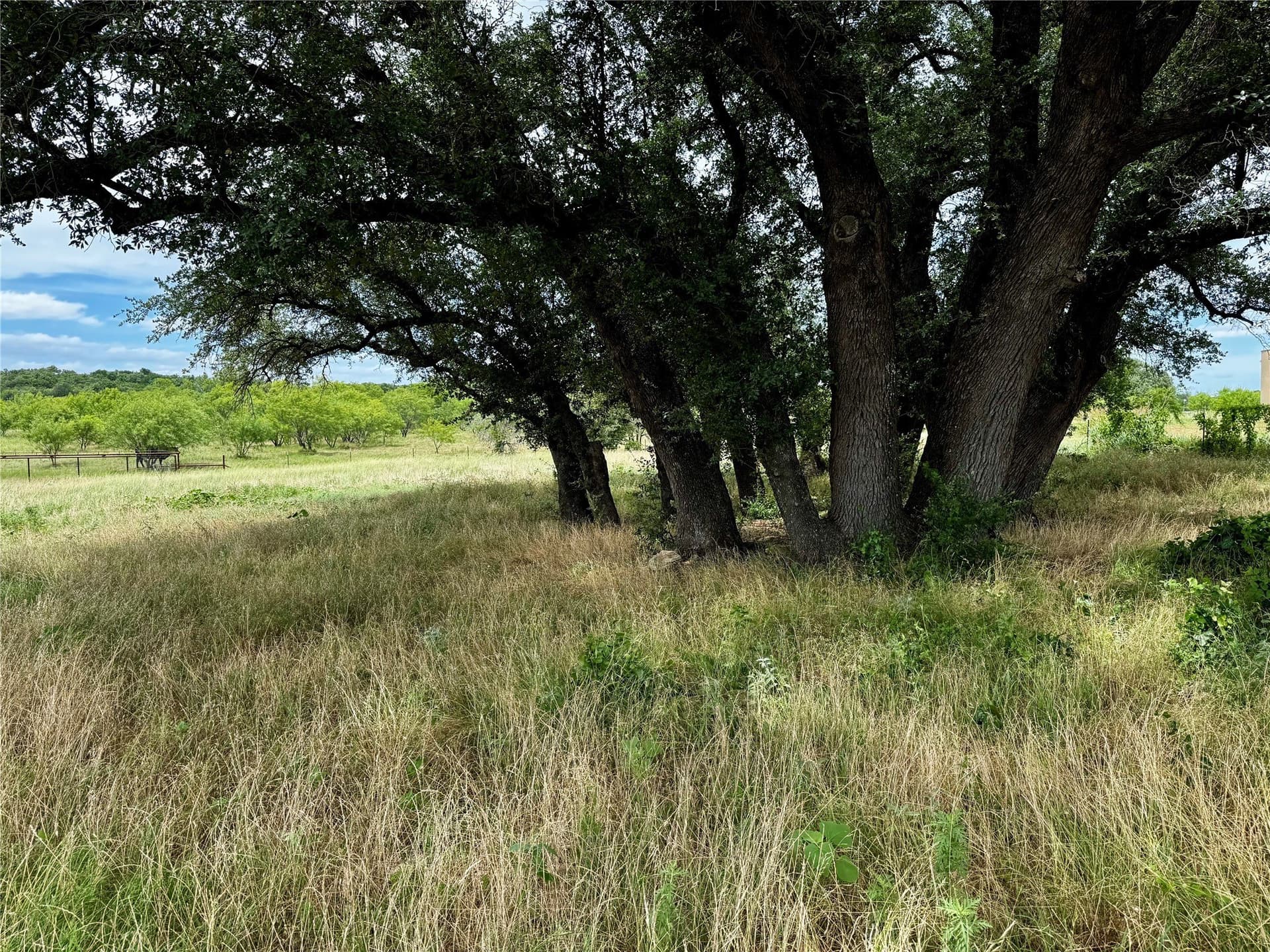 5.51 acres in Palo Pinto County - photo 6