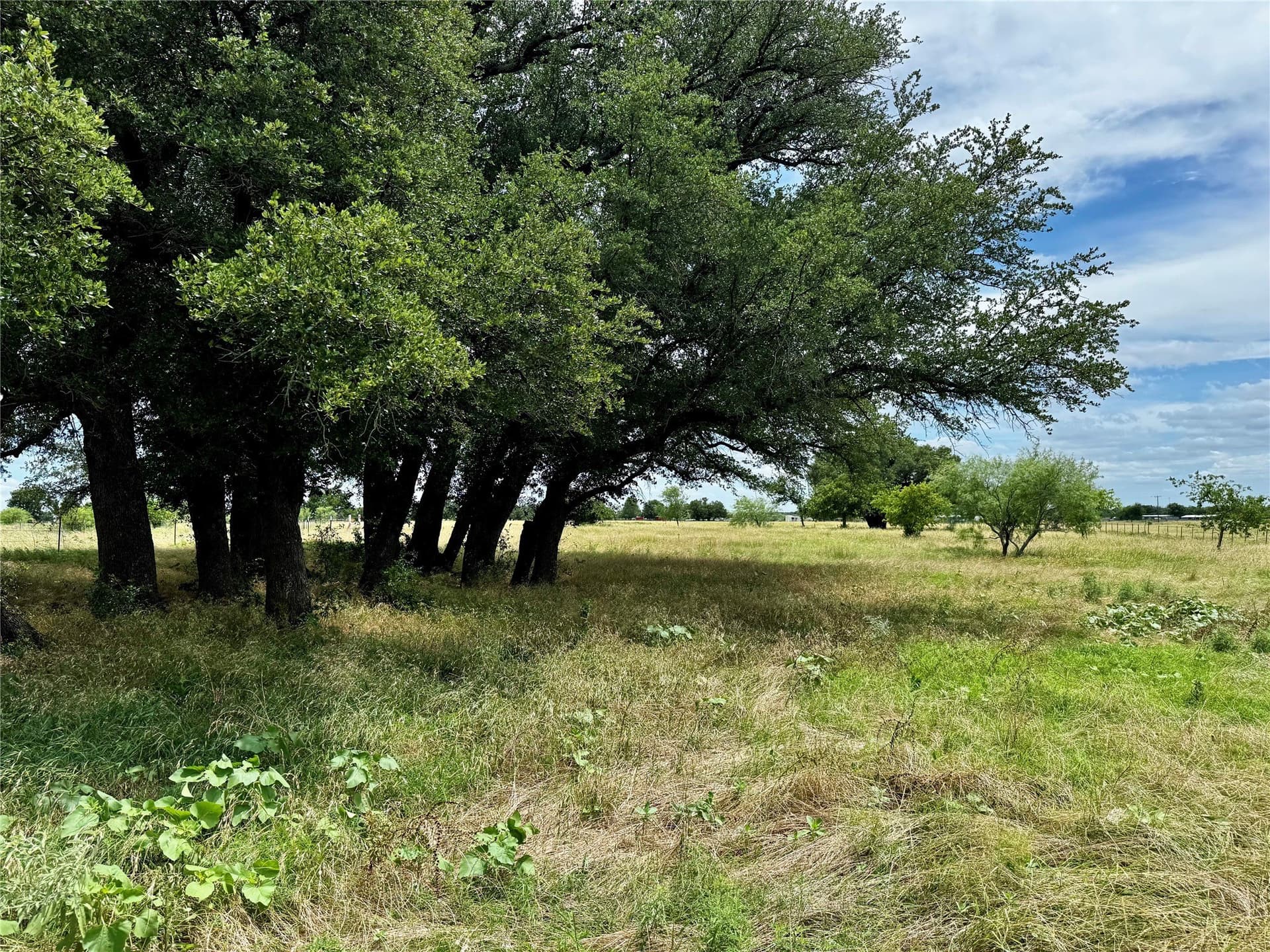 5.51 acres in Palo Pinto County - photo 8