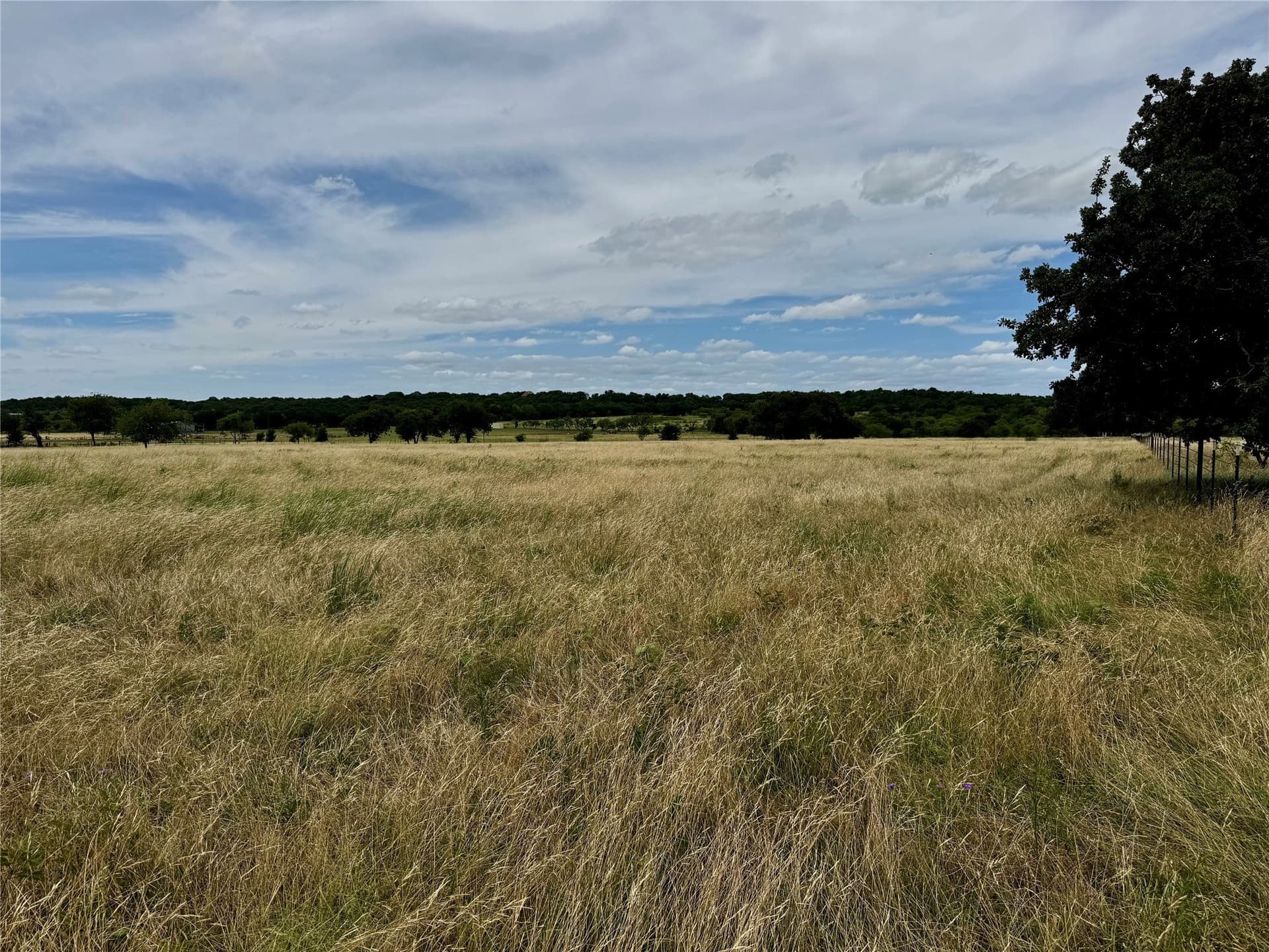5.51 acres in Palo Pinto County - photo 4