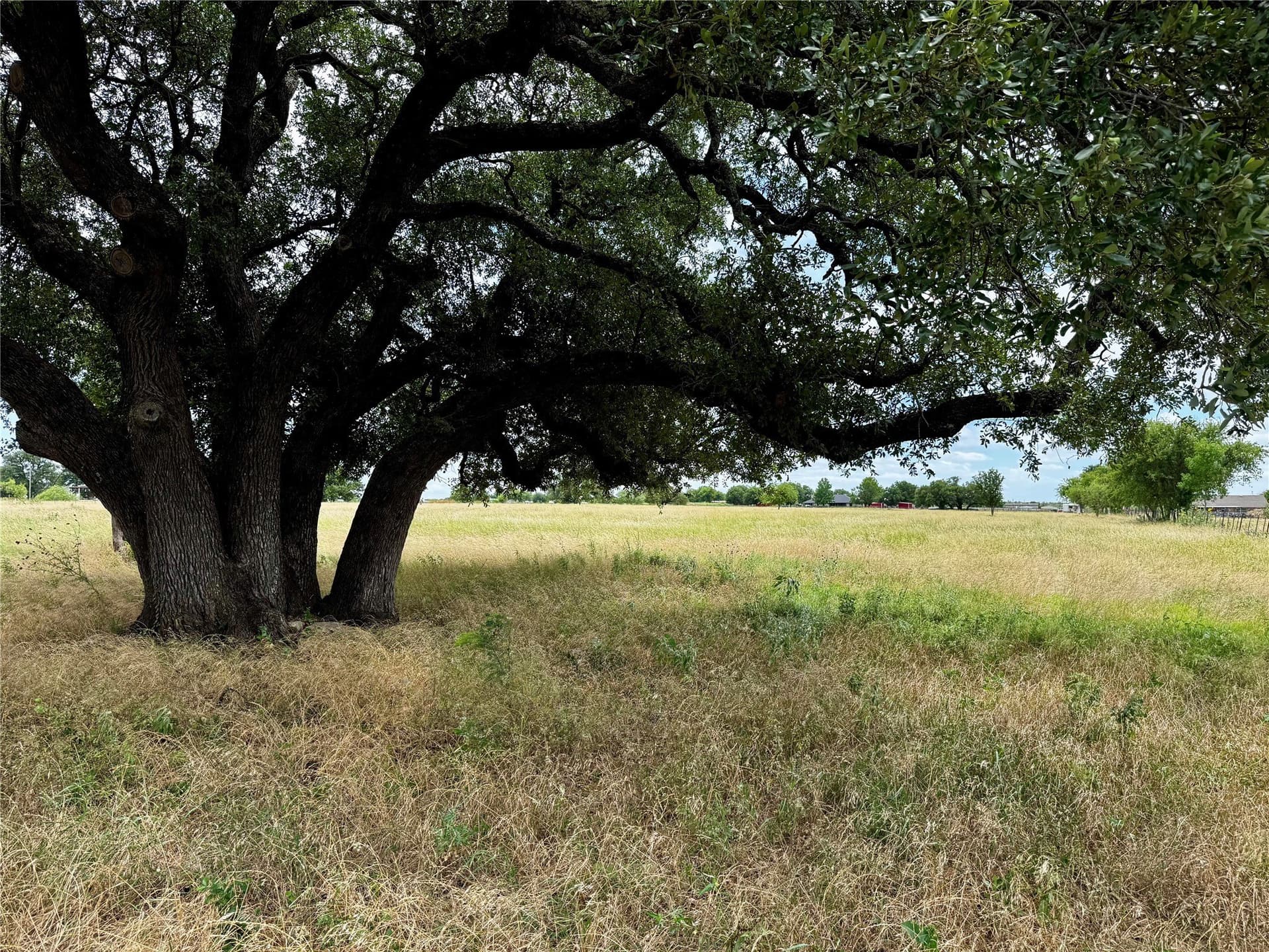 5.51 acres in Palo Pinto County - photo 10