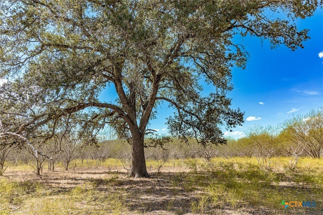 98.77 acres in Lavaca County