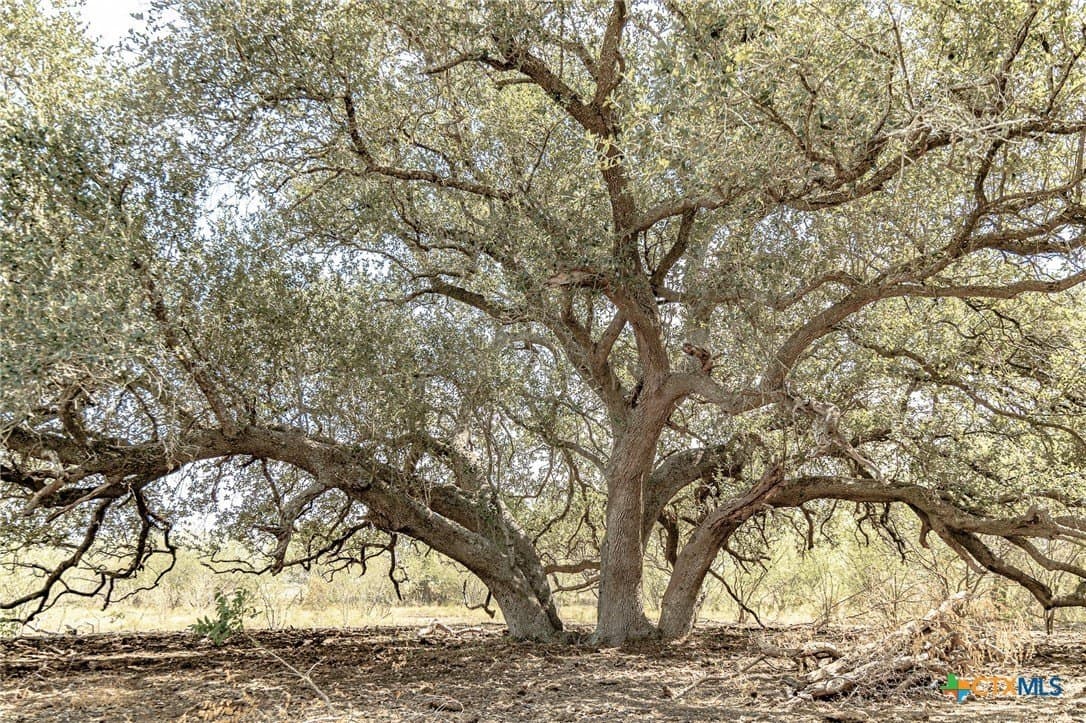 98.77 acres in Lavaca County featured view
