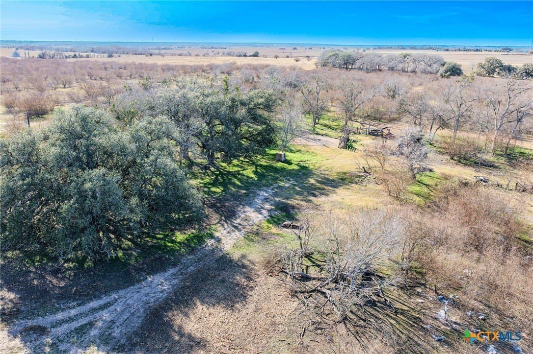98.77 acres in Lavaca County gallery image 4