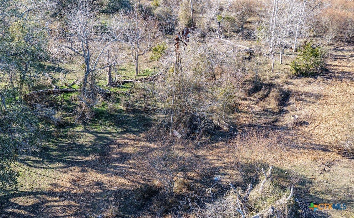 98.77 acres in Lavaca County gallery image 2