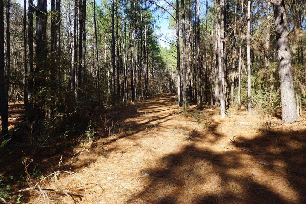 122.11 acres in ANDERSON County - photo 11