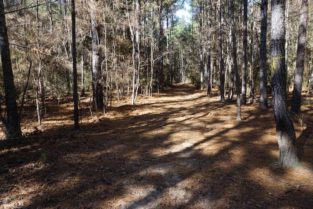 122.11 acres in ANDERSON County - photo 12