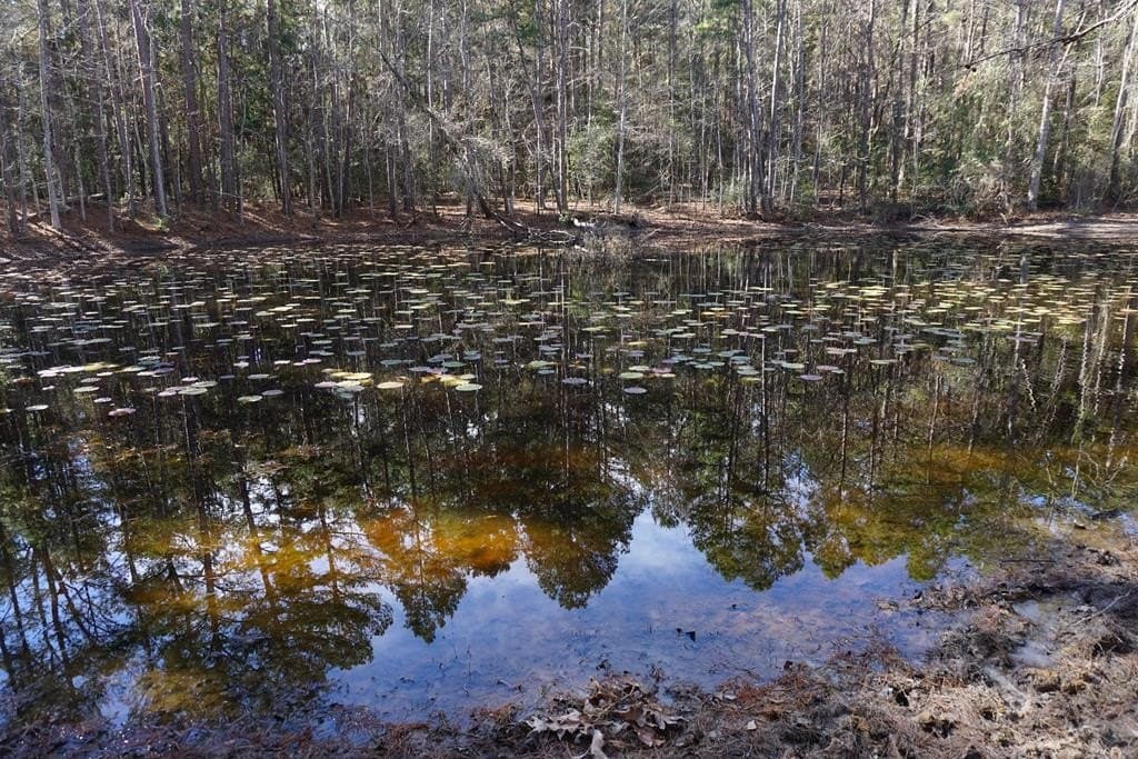 122.11 acres in ANDERSON County