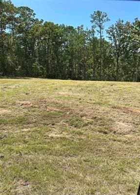 0.89 acres in Texas County - photo 2
