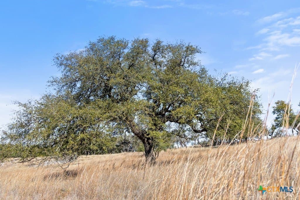 12.97 acres in Blanco County - photo 28