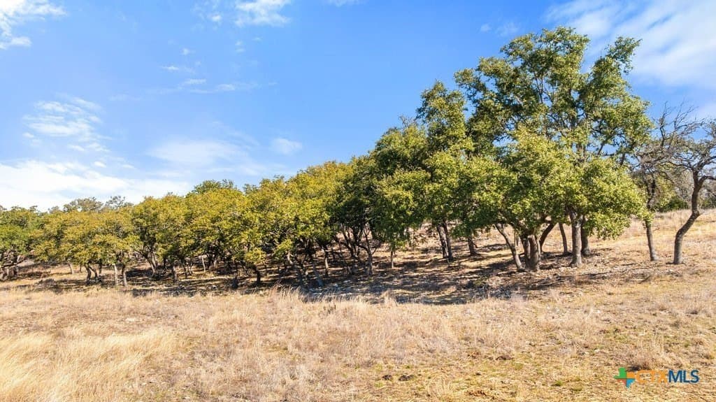 12.97 acres in Blanco County - photo 17