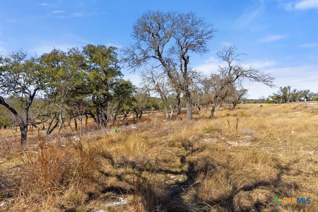 12.97 acres in Blanco County - photo 36