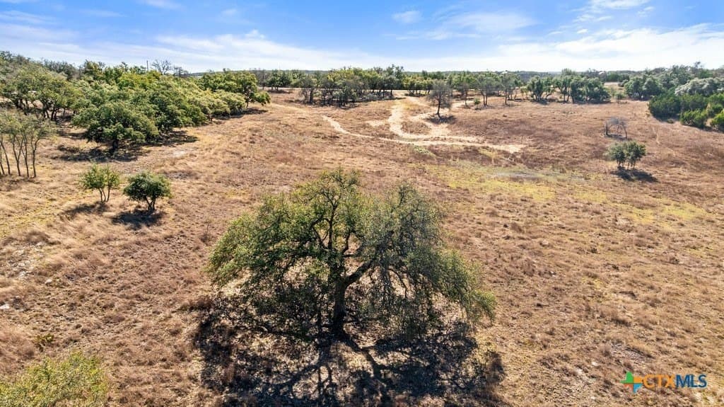 12.97 acres in Blanco County - photo 13