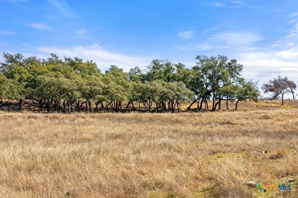 12.97 acres in Blanco County - photo 32