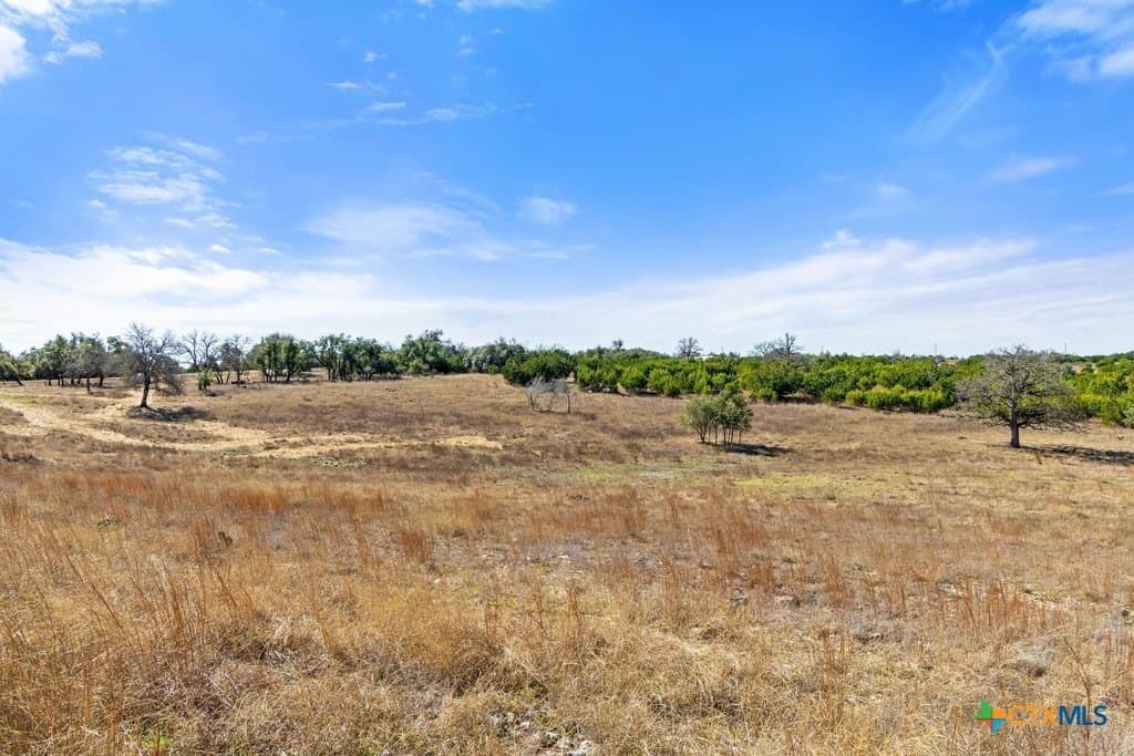 12.97 acres in Blanco County - photo 33