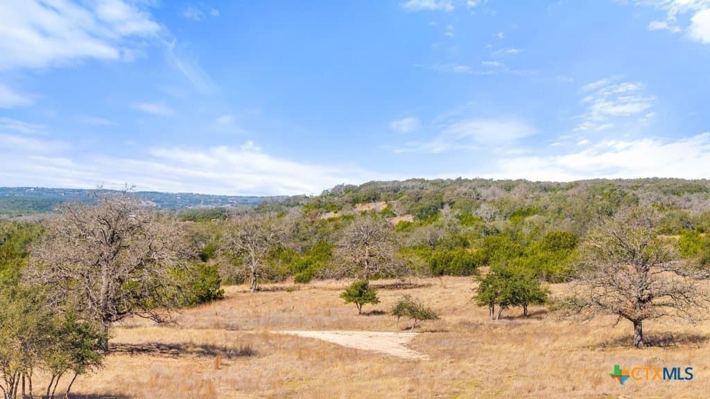 12.97 acres in Blanco County - photo 19
