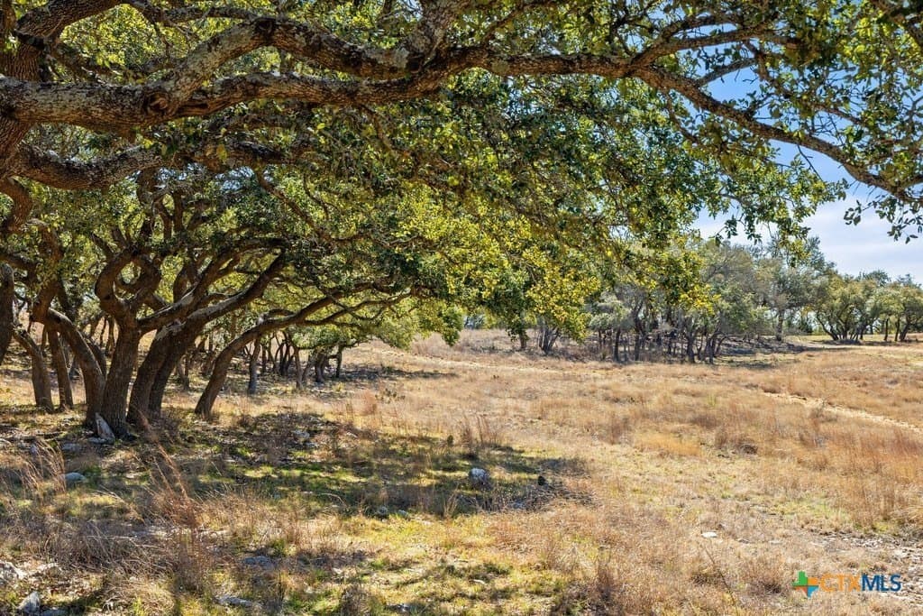 12.97 acres in Blanco County - photo 34
