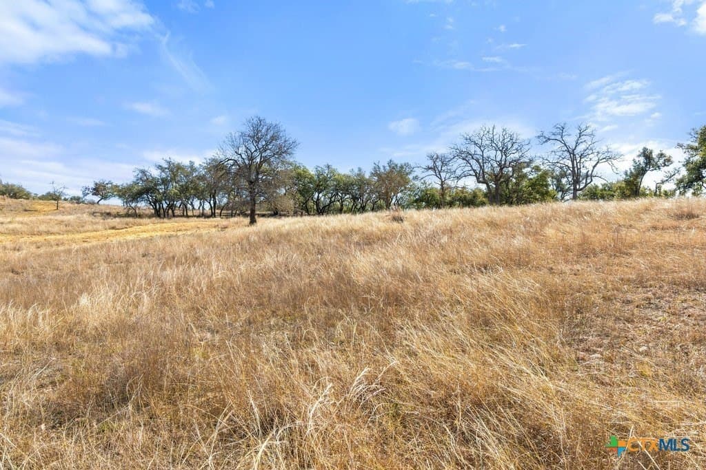 12.97 acres in Blanco County - photo 26
