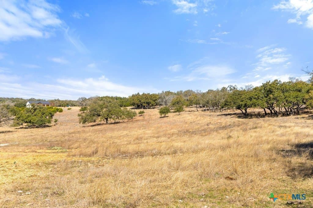 12.97 acres in Blanco County - photo 24