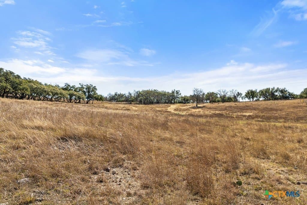12.97 acres in Blanco County - photo 29