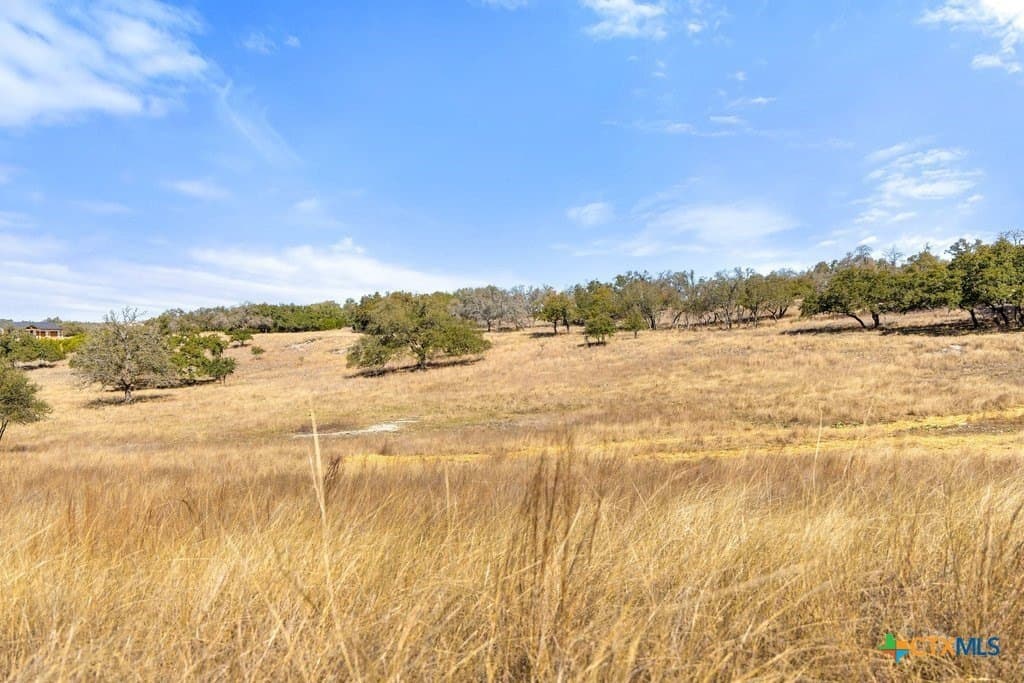 12.97 acres in Blanco County - photo 25