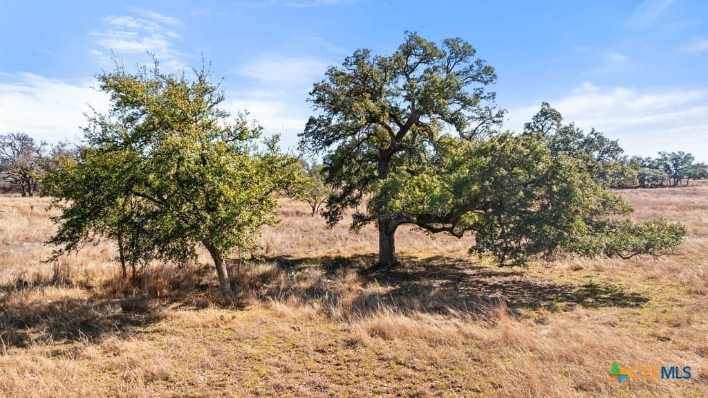 12.97 acres in Blanco County - photo 12