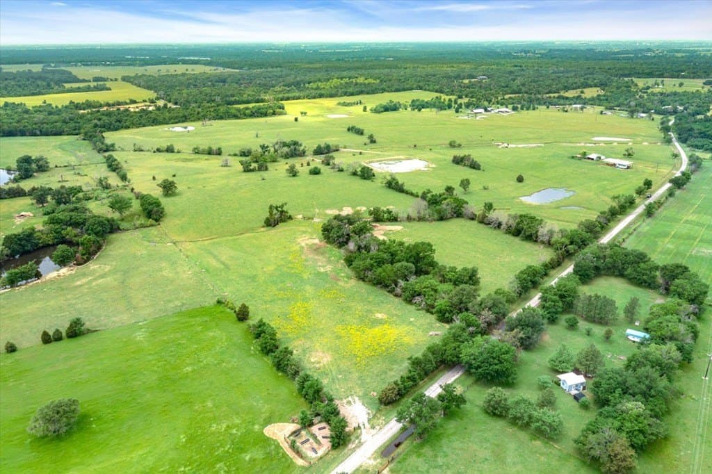 55.38 acres in Van Zandt County gallery image 4