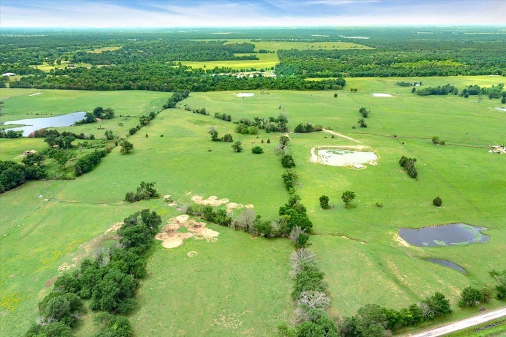 55.38 acres in Van Zandt County gallery image 2
