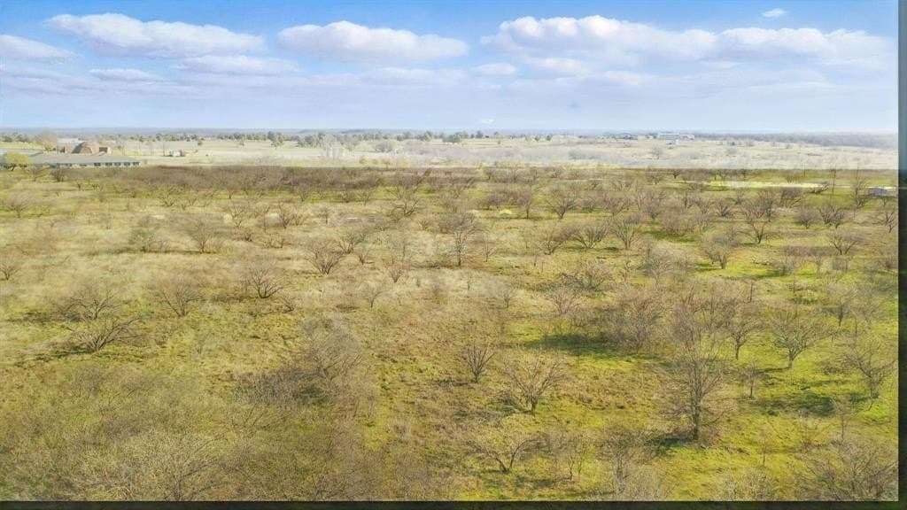 24.16 acres in Jack County gallery image 4