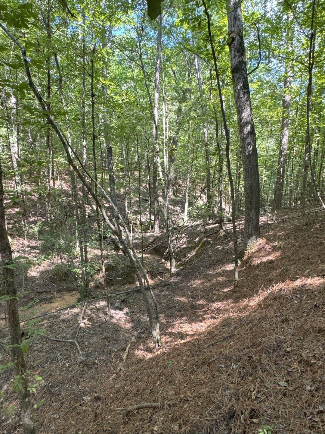 575 acres in Nacogdoches County - photo 23