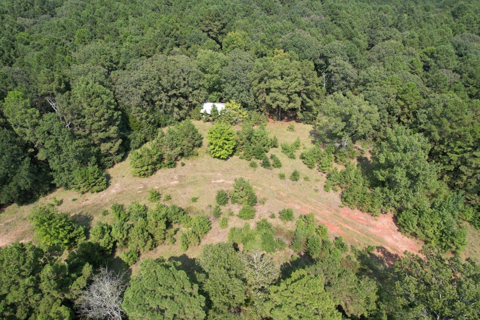 575 acres in Nacogdoches County - photo 5