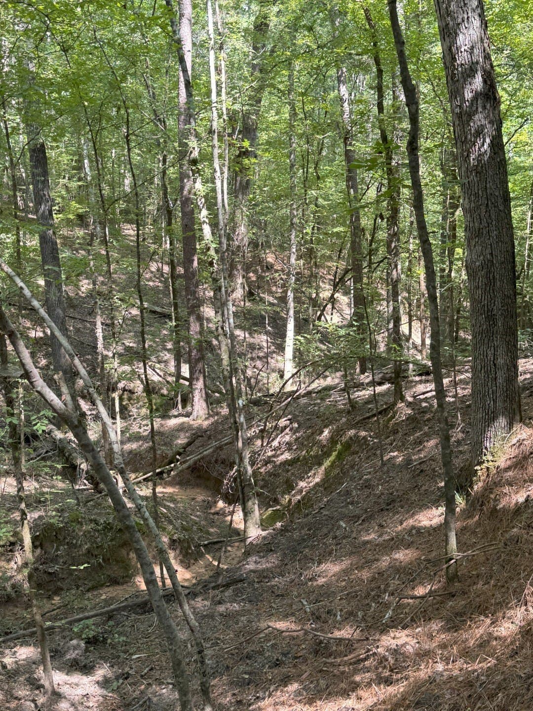 575 acres in Nacogdoches County - photo 22