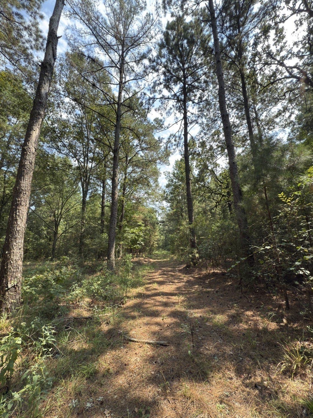 575 acres in Nacogdoches County - photo 12