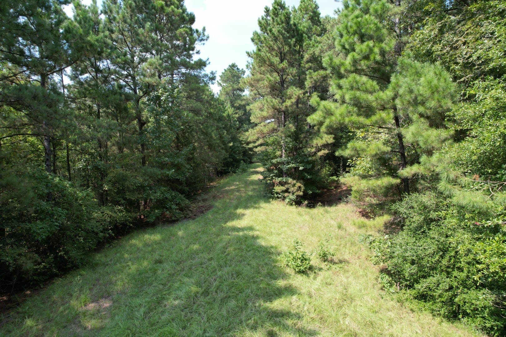 575 acres in Nacogdoches County - photo 8