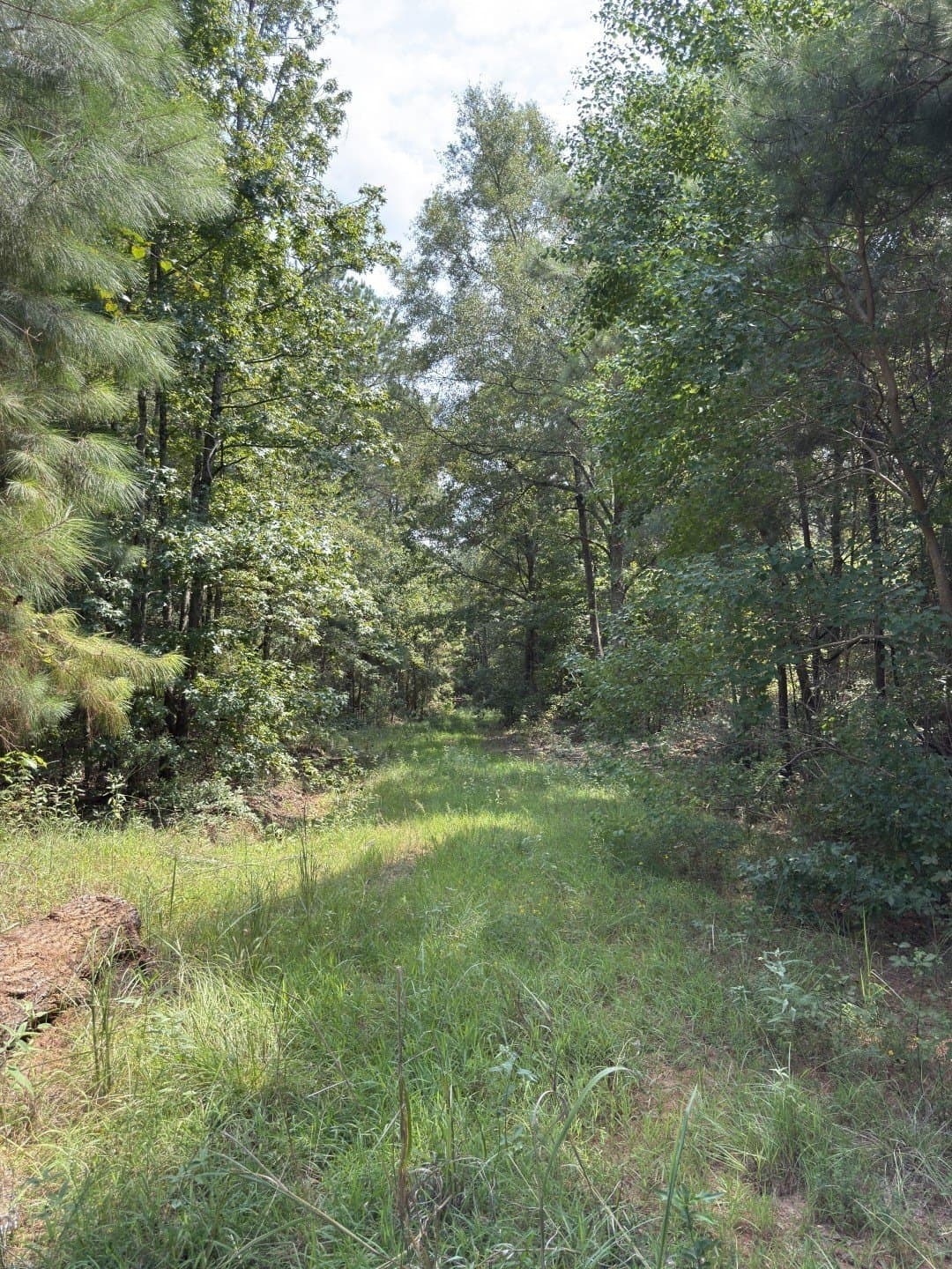 575 acres in Nacogdoches County - photo 13
