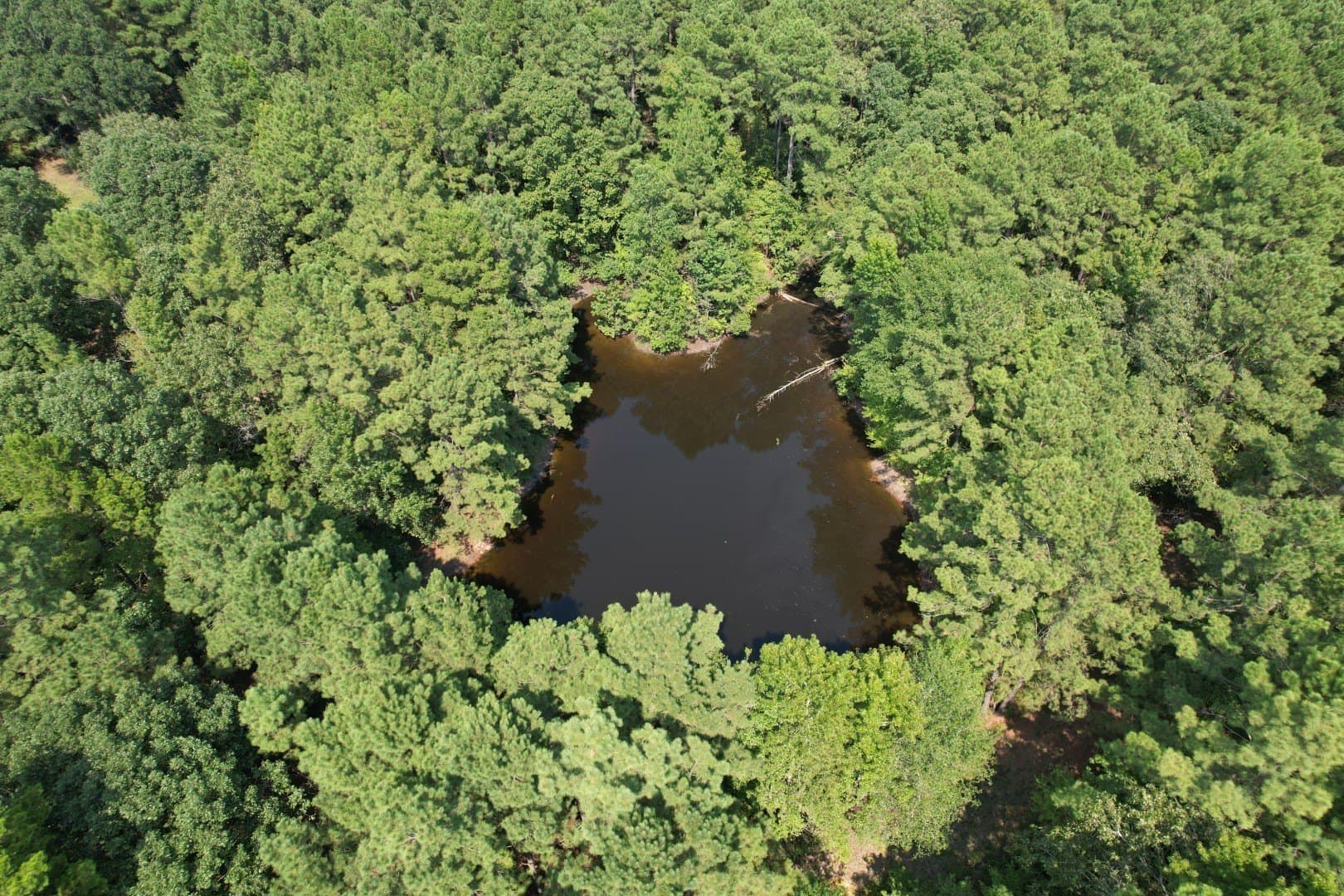 575 acres in Nacogdoches County