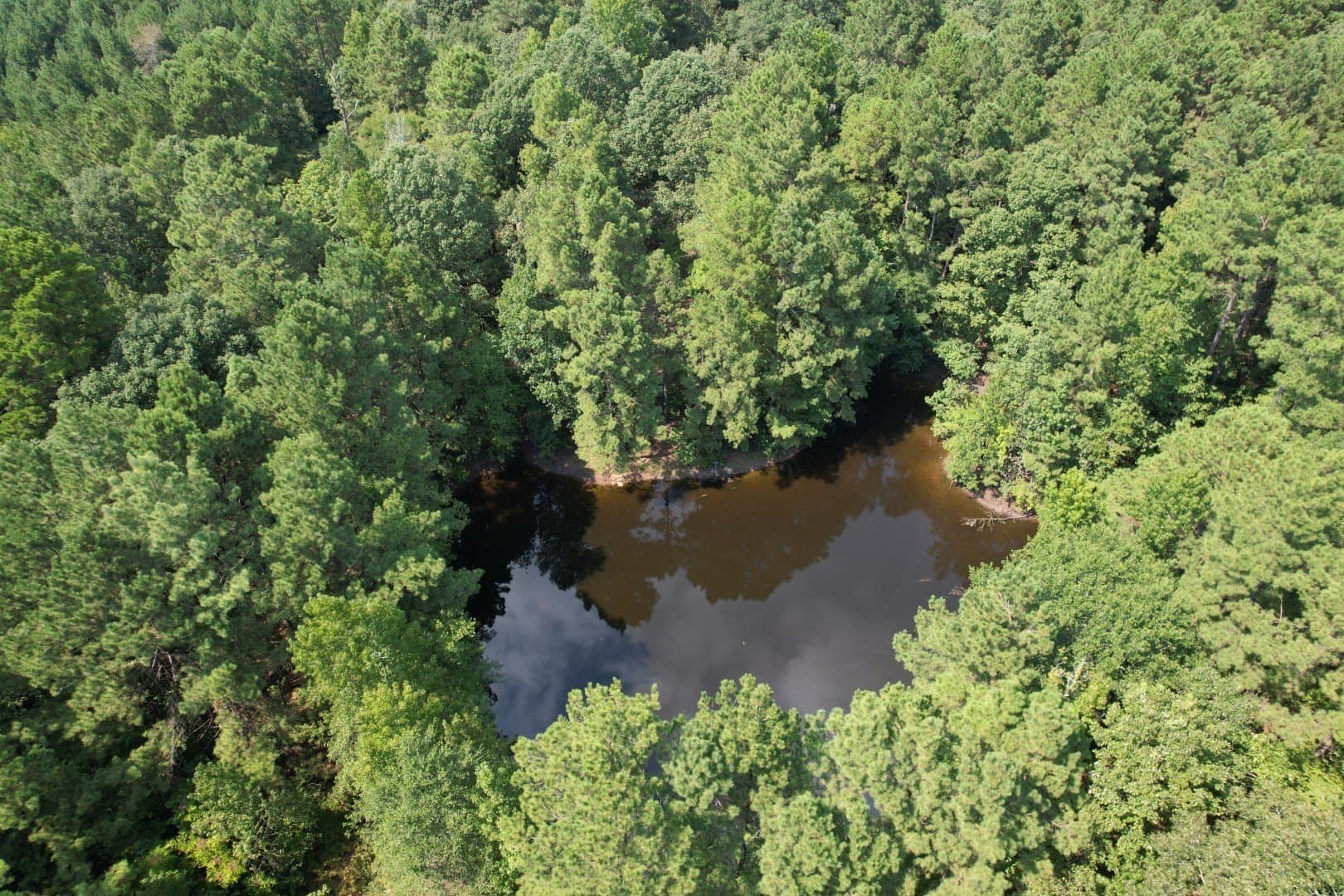 575 acres in Nacogdoches County - photo 2