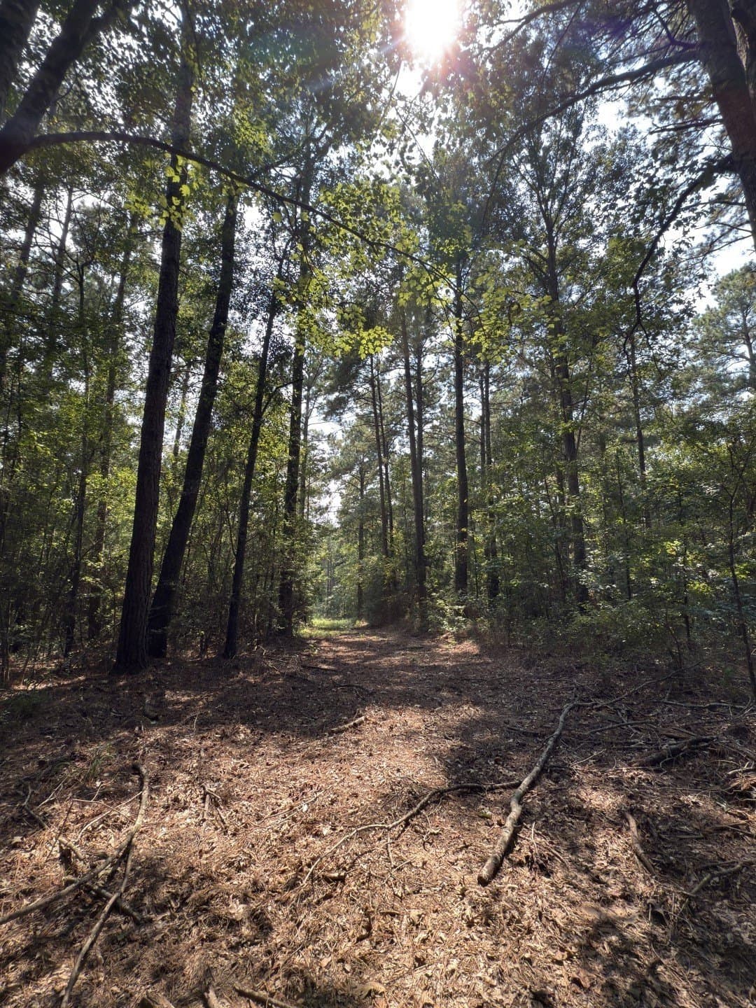 575 acres in Nacogdoches County - photo 17