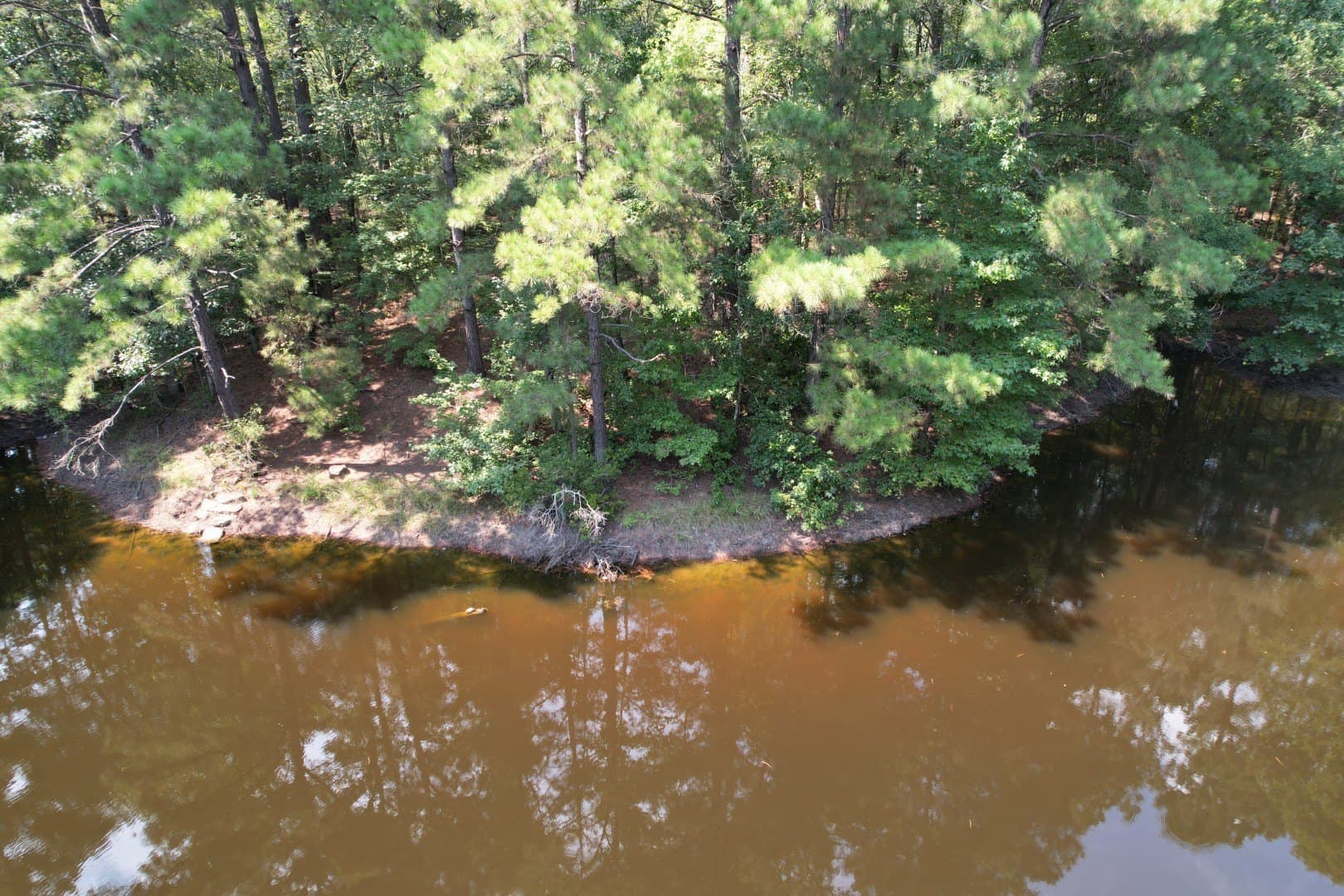 575 acres in Nacogdoches County - photo 3