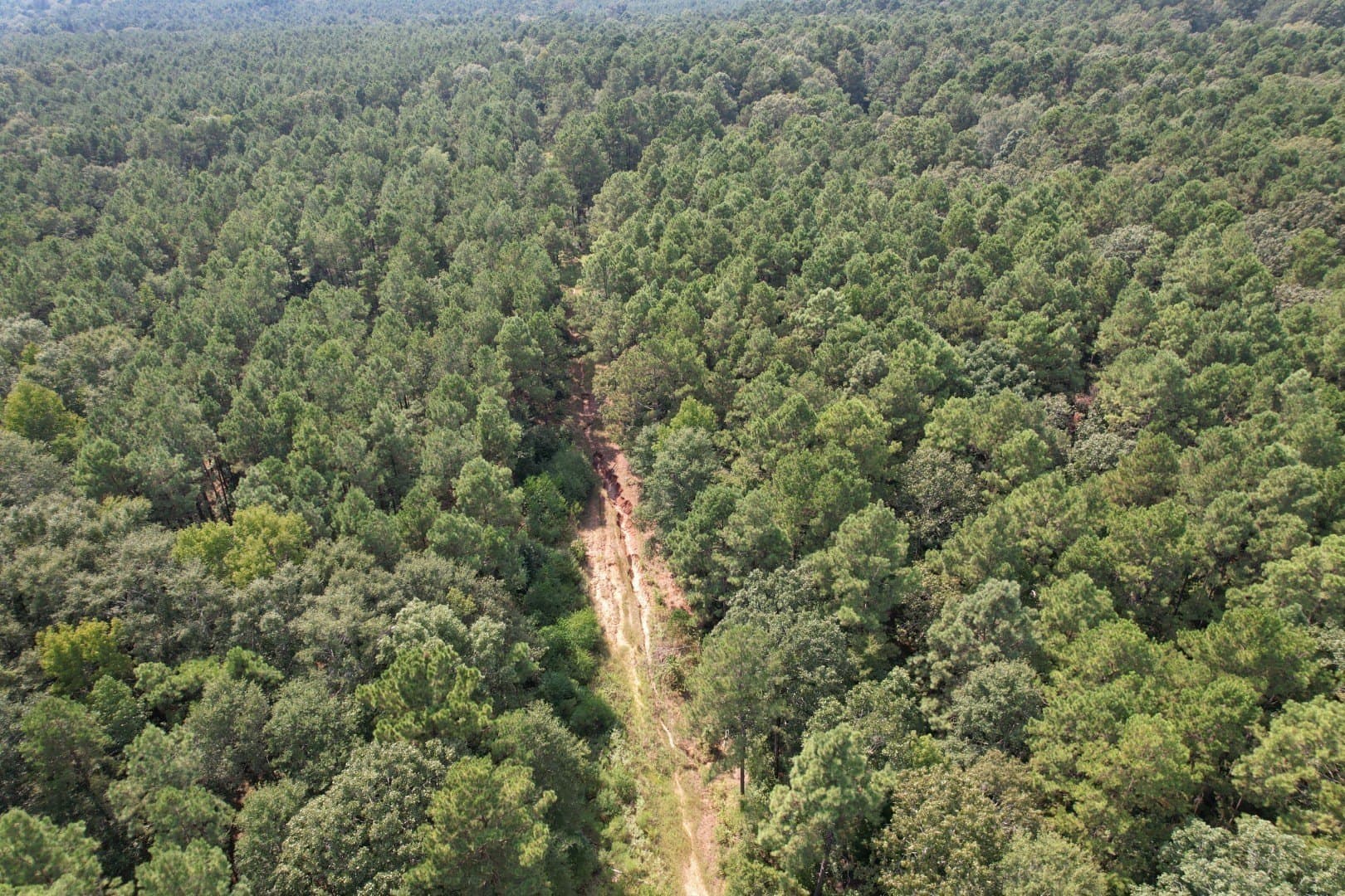 575 acres in Nacogdoches County - photo 7