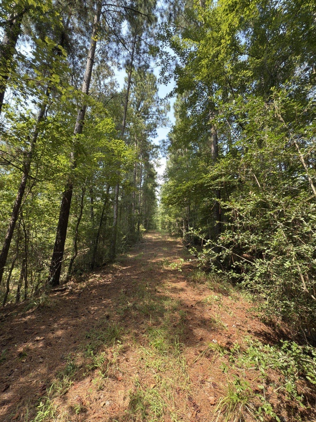 575 acres in Nacogdoches County - photo 10