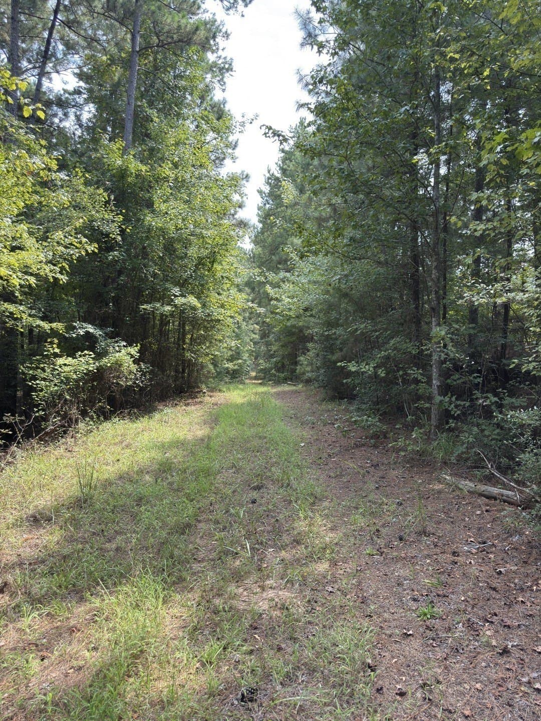 575 acres in Nacogdoches County - photo 25